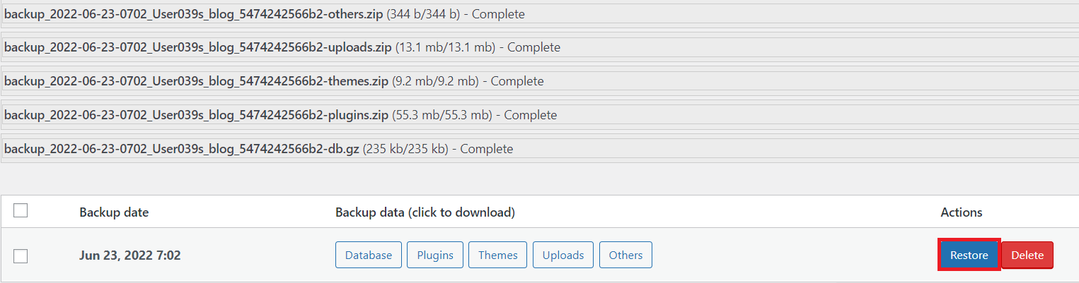 WordPressMigrationWithoutControlPanel19.png