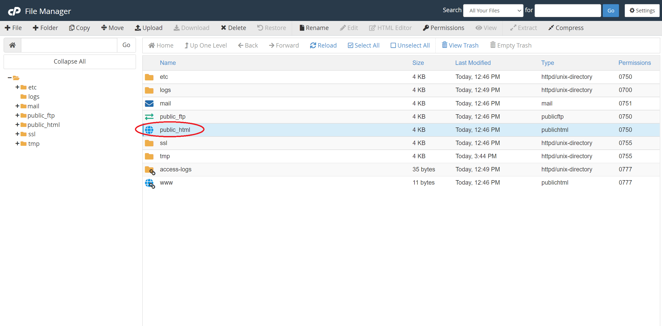 wordpressMigrate2.png